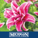 Michigan Bulb Co.