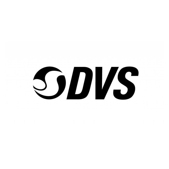 DVS Shoes