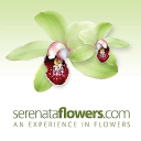 Serenata Flowers (United Kingdom)